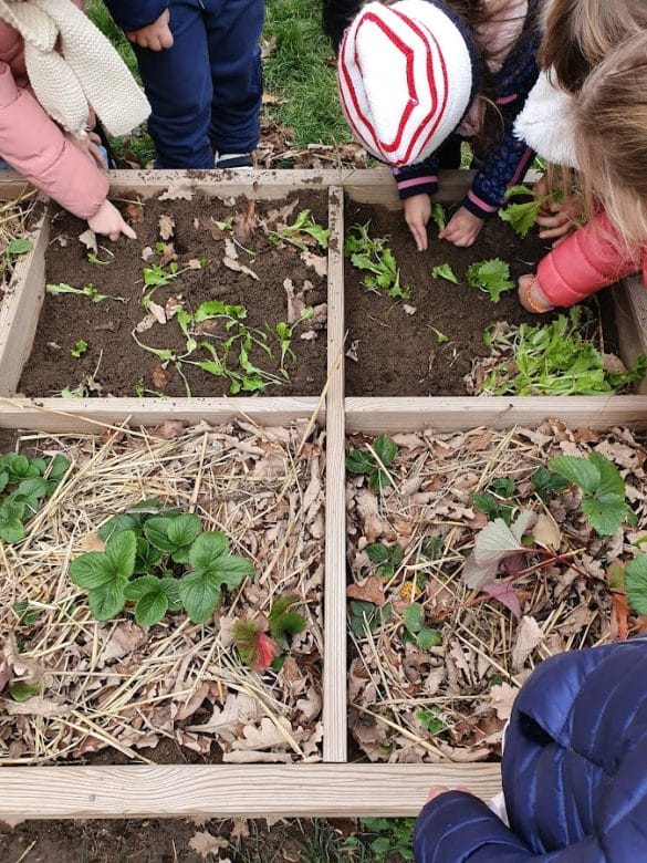 jardin ressourcerie du Pays d'Issoire