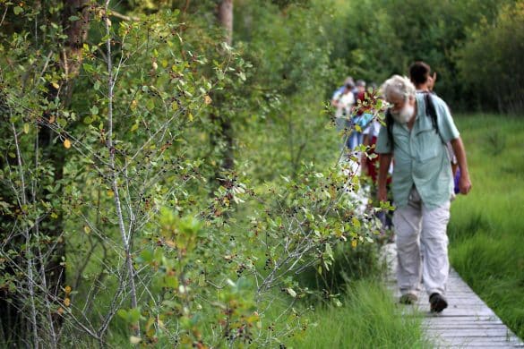 Sortie Conservatoire d'espaces naturels d'Auvergne