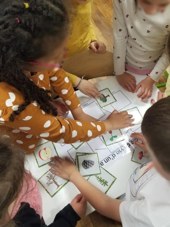 Atelier Escape Game sur la forêt ancienne Biodiv'Educ