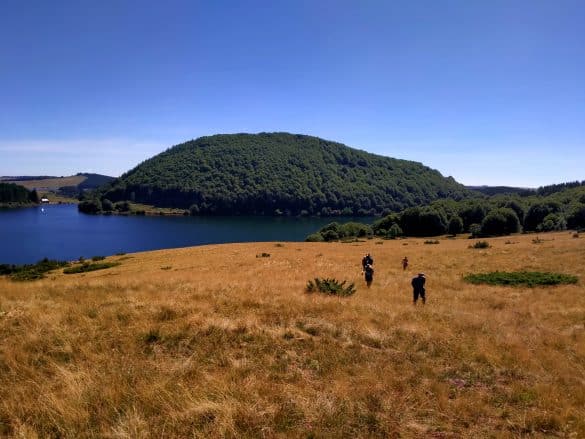 Escale Sauvage en Auvergne