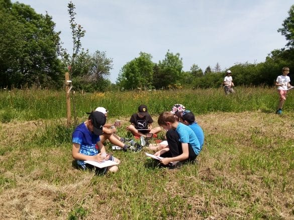 Animation Conservatoire d'espaces naturels d'Auvergne