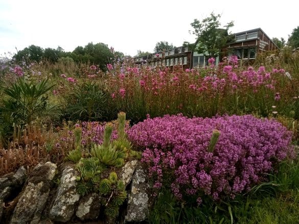 Jardin Conservatoire Botanique National du Massif Central