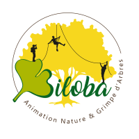 Logo Association Biloba