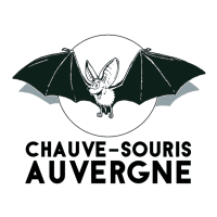 Logo Chauve Souris Auvergne