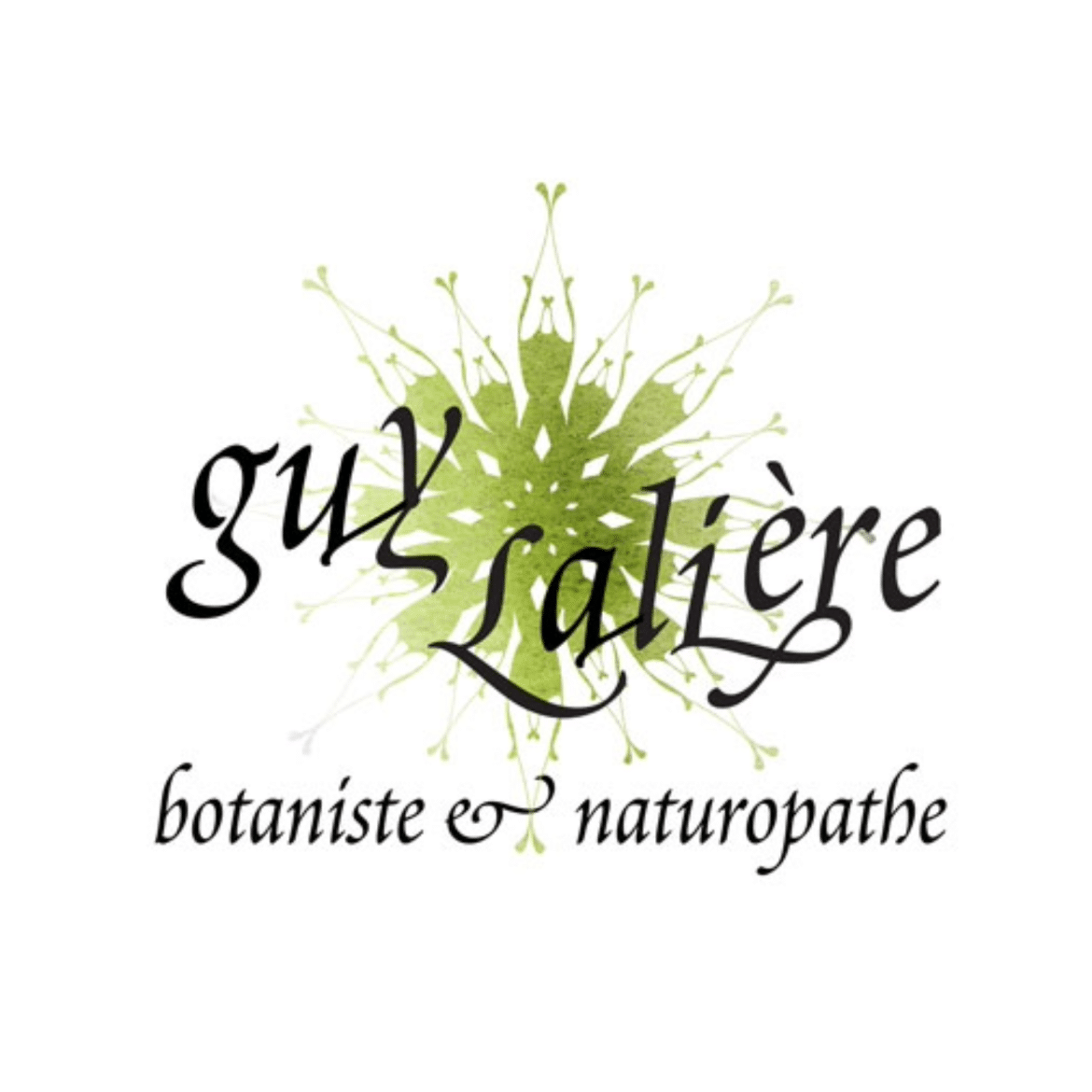 Logo Guy Lalière