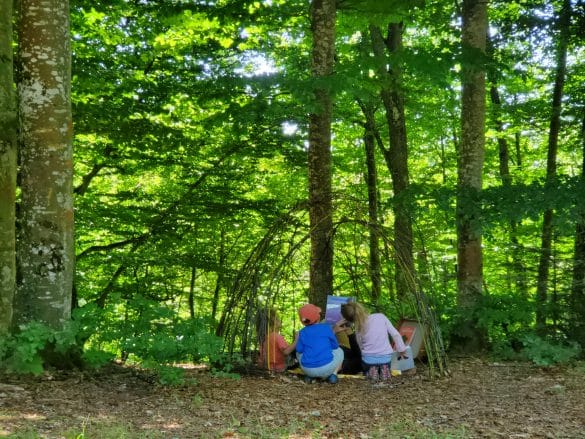 ecole dehors les poussins du coq noir