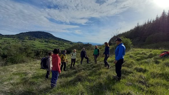 Sortie nature Arbres et Chemins