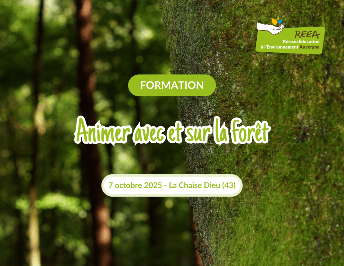 formation animer en foret