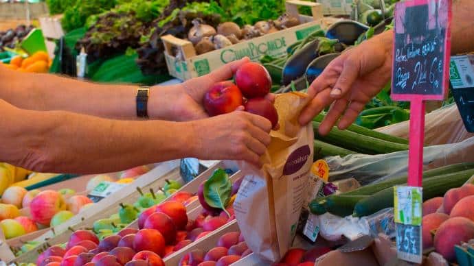 stratégie nationale pour l’alimentation